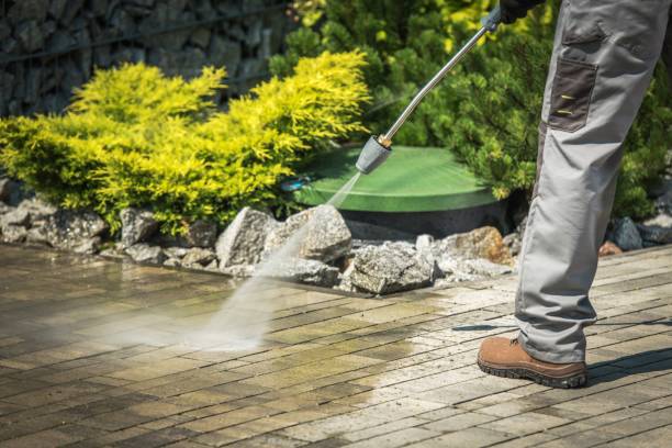 Best Dumpster Area Cleaning  in Dravosburg, PA